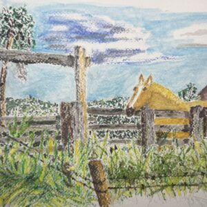 Good Fences