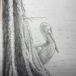 “Pelly—Lake Morton”