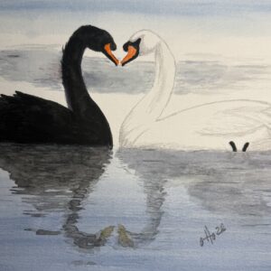 Swan Love