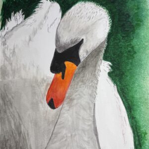 A Portrait