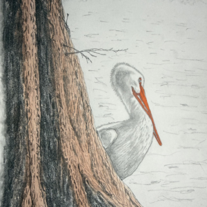 Pelly—Lake Morton