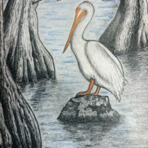 Pelly 2