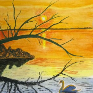 Sunset Swan
